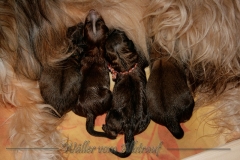 A-Wurf_woche1