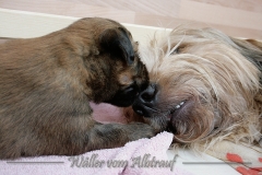 woche3-13