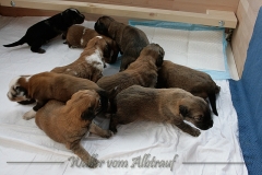 woche3-6