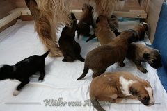 woche3-8