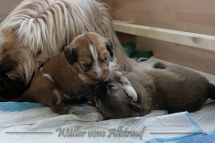 woche4-23