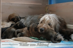 woche4-26