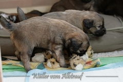woche4-29