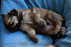 woche4-38