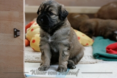 woche5-10