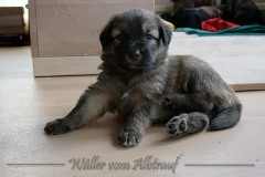 woche5-12