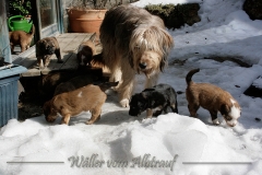 woche5-14