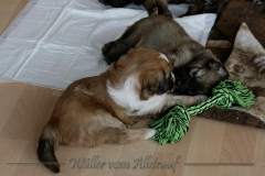 woche5-23