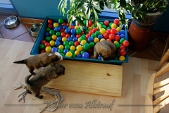 woche5-8