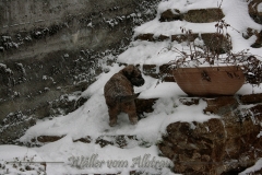 woche6-22