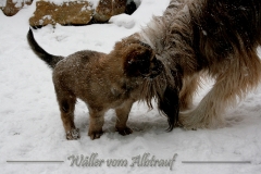woche6-23