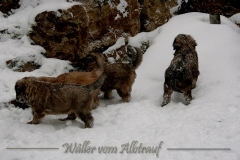 woche6-24