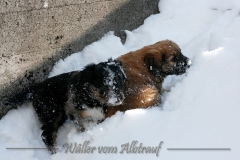 woche6-32