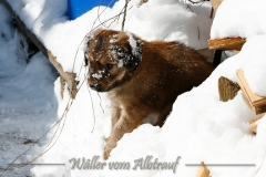 woche6-34