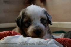 woche6-7