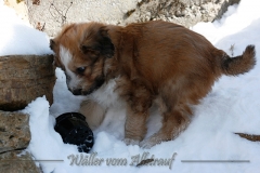 woche7-12