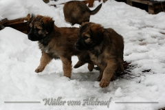 woche7-15