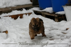 woche7-17