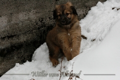 woche7-20