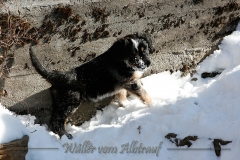 woche7-7