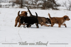 woche8-10