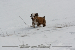 woche8-12