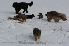 woche8-16