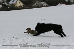 woche8-17