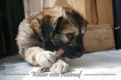 woche8-2