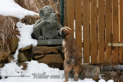 woche8-25