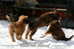 woche8-32