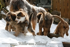 woche8-35