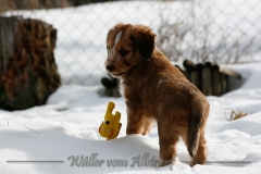 woche8-36