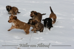 woche8-4