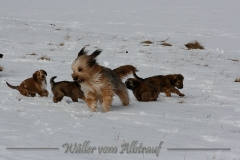 woche8-5
