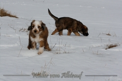 woche8-6