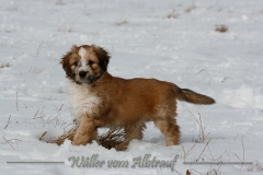 woche8-7