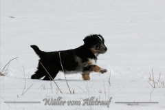 woche8-8