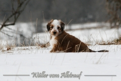 woche8-9