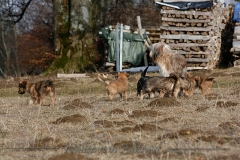 woche9-10