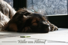 woche9-17