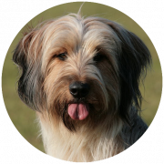testimonial-fiona