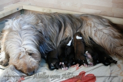 B-Wurf_Woche1_1