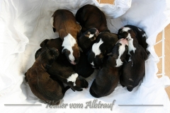 B-Wurf_Woche1_2