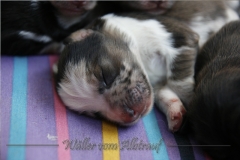 B-Wurf_Woche1_21