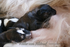 B-Wurf_Woche1_28
