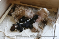 B-Wurf_Woche1_29