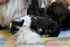 B-Wurf_Woche1_4