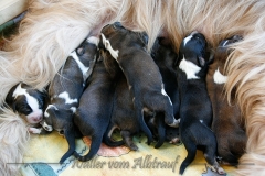 B-Wurf_Woche1_6