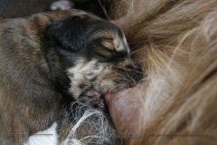 Woche2_12